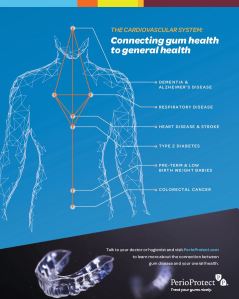 Infographic explaining the cardiovascular system and how Perio Protect works with it